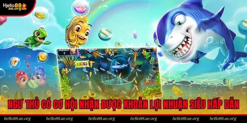 Ngư thủ có cơ hội nhận được khoản lợi nhuận siêu hấp dẫn